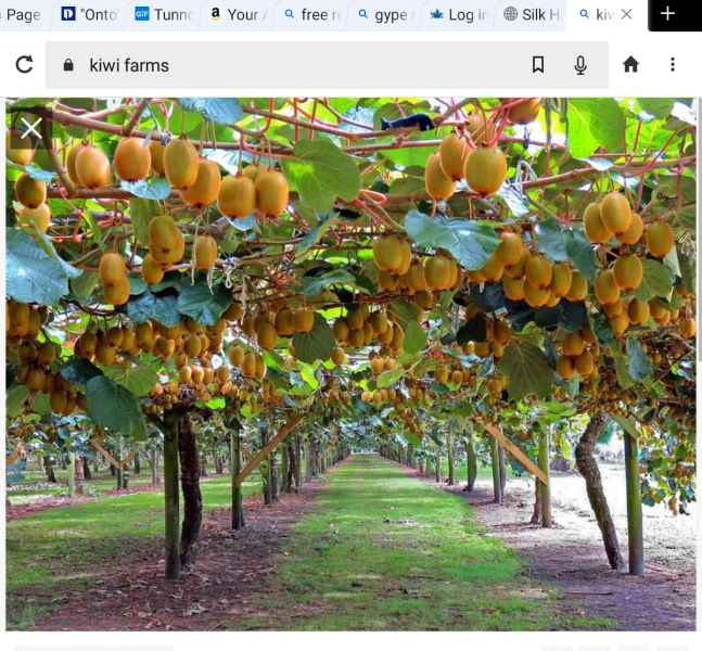 Good news from Caroline Farrow