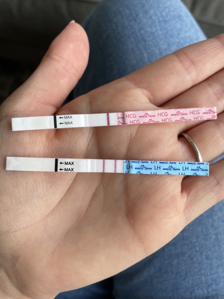 Am I ovulating after a miscarriage? Confused!