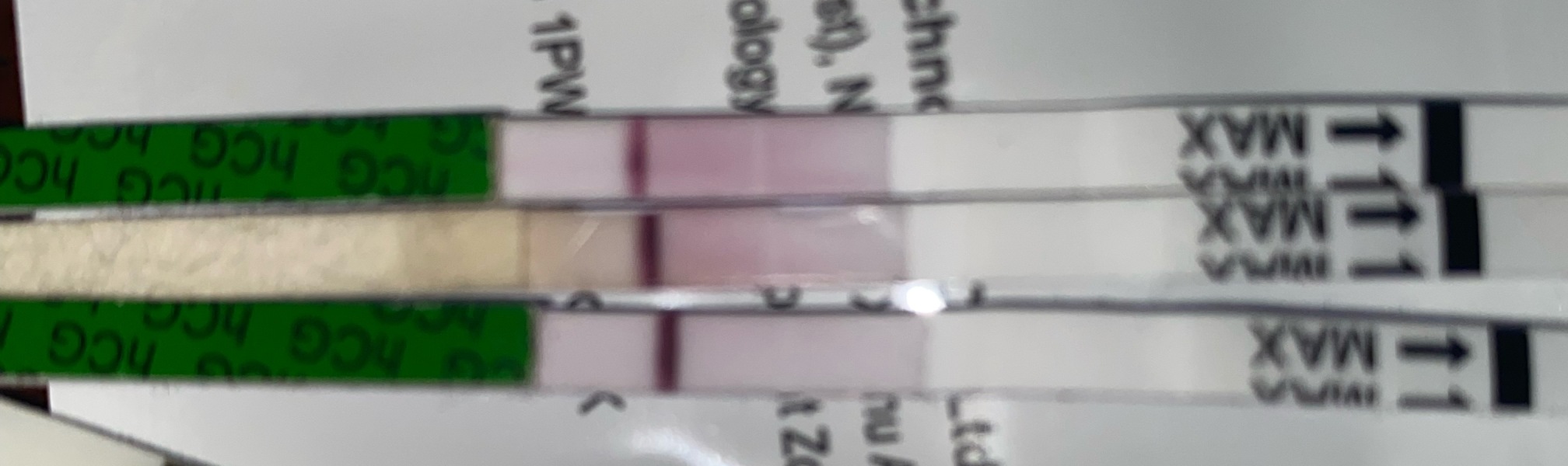 Preg test faint line.... preg or not preg?