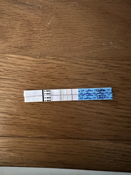 We’re ‘old schooling’ it up! Ovulation test sticks…