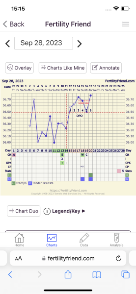 Bbt drop at 4/5 dpo!