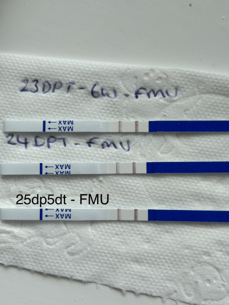 7dp5dt line eyes. Your experiences please