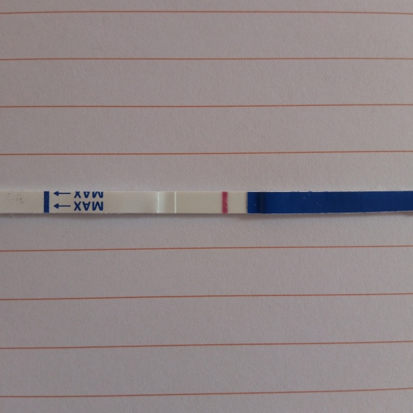 Line Eyes on IC 10dpo ish