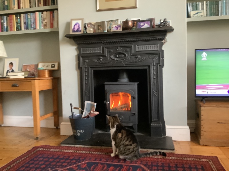 Can we please see pictures of your fireplaces and log burners ?