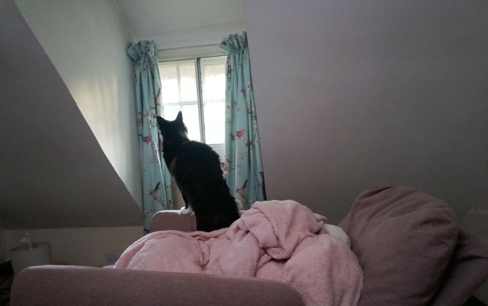 Come and tell me your dull and unexciting news 27: Calmly through the day