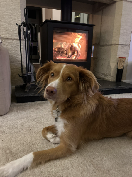 Fireplaces and logburners - have you got yours lighted yet?