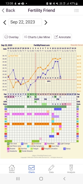 Implantation Dip or AF on her way?