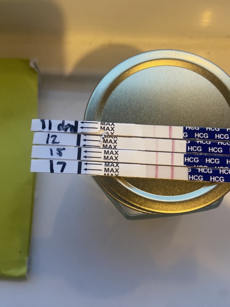 Lines the same as 12dpo at 14dpo