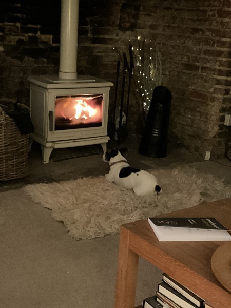 Can we please see pictures of your fireplaces and log burners ?