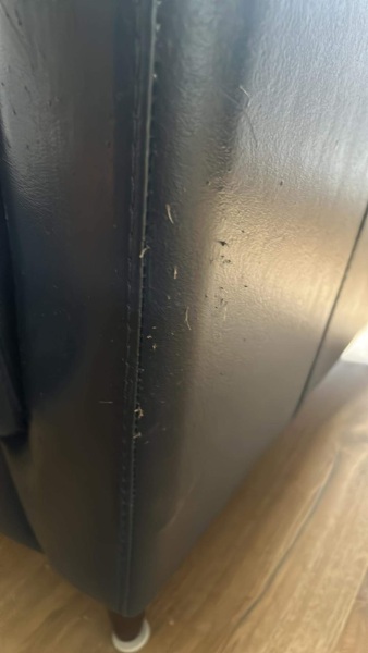 Cleaner let cats into living room