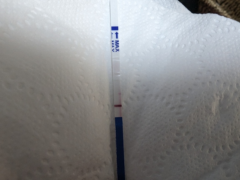 9dpo faint positive. Third time in three months. Another chemical pregnancy?