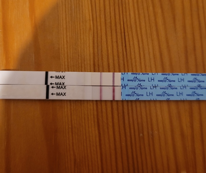 So confused about my OPK app