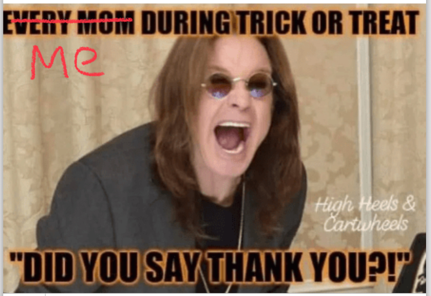 Tulips, snowdrops and another Day 1!