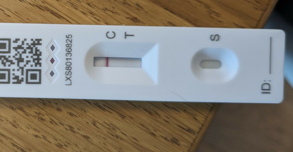 Who's had the current Covid strain? I've never felt so ill in my life :(