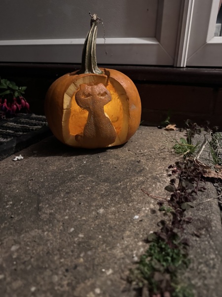 Show my your pumpkins