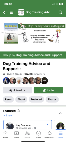 DP making me pick between him or the rescue dog