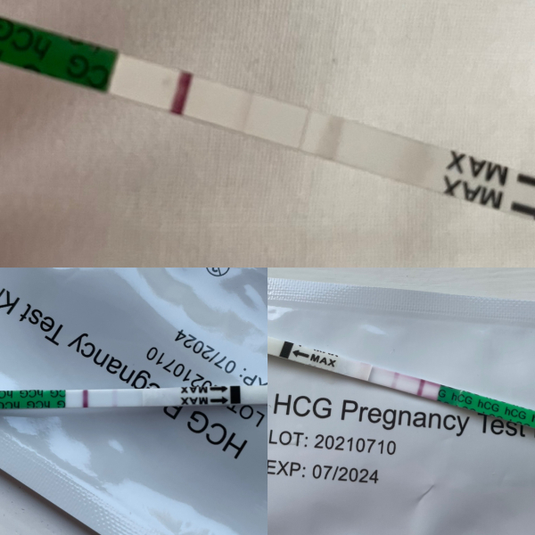 12 DPO... bfp