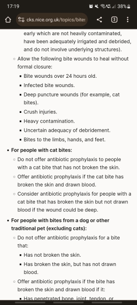 Do I need antibiotics for a cat bite?