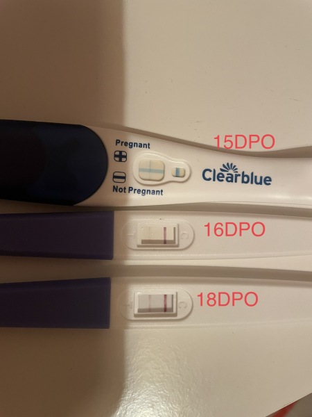 Due June 24?