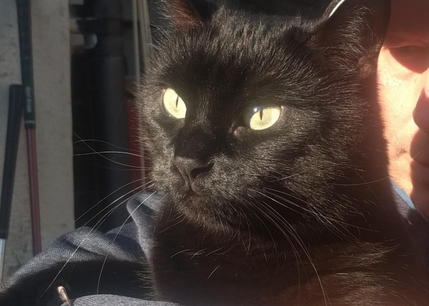 We lost our beautiful girl today!