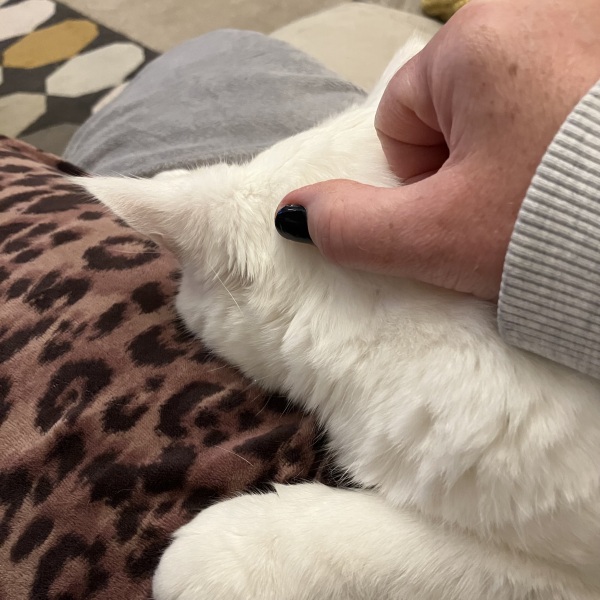 How to tell it’s getting cold…