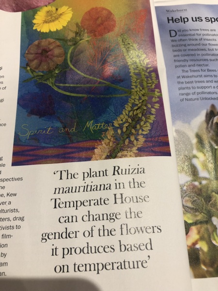 Kew Gardens, yes, *Kew Gardens*, says plants have "gender" not "sex"