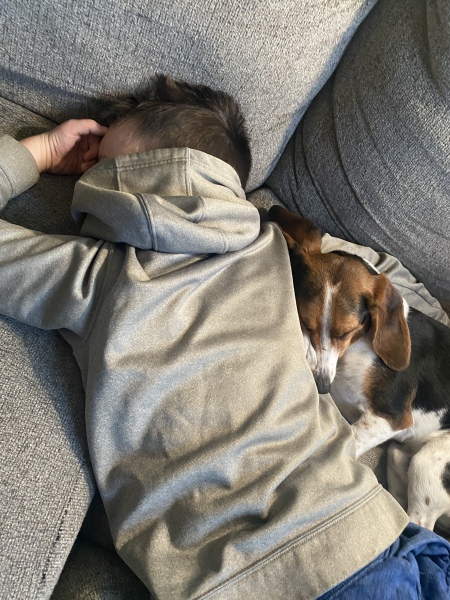 Your favourite unexpected thing about your dog