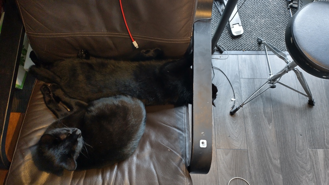 National Black Cat Day today, 27th October.