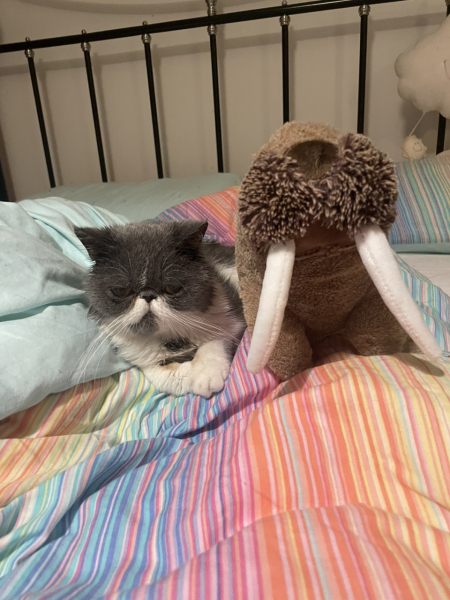 Potential new inmate at Toddler Towers.