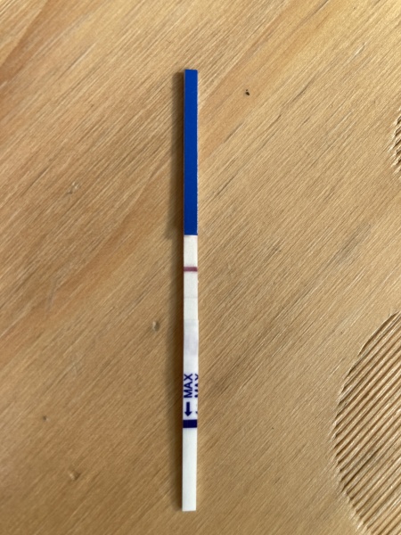 Is this an evap line of a VFL?? 13 days late for period!