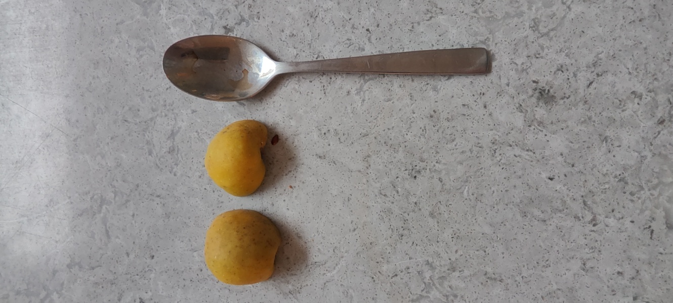 Is this quince? Photos