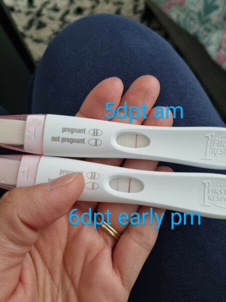 Fresh IVF cycle Negative test at 6dp5dt