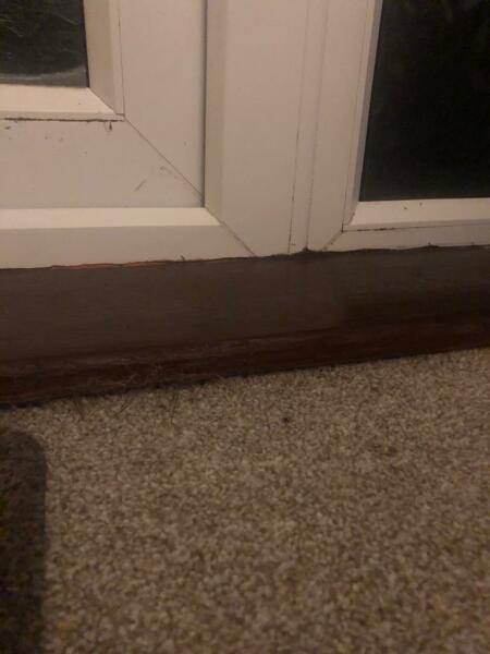 WTF is living under my step?  Do I need to move out and burn the house down?