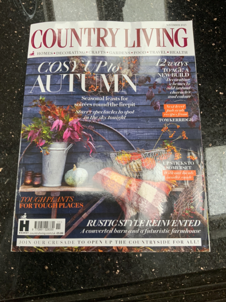 Dark Academia - anyone who loves this style?