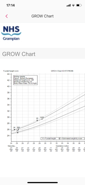 'Pregnancy after Miscarriage - Latest support thread'