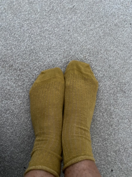 Toasties hoping for a sale while sailing into Christmas