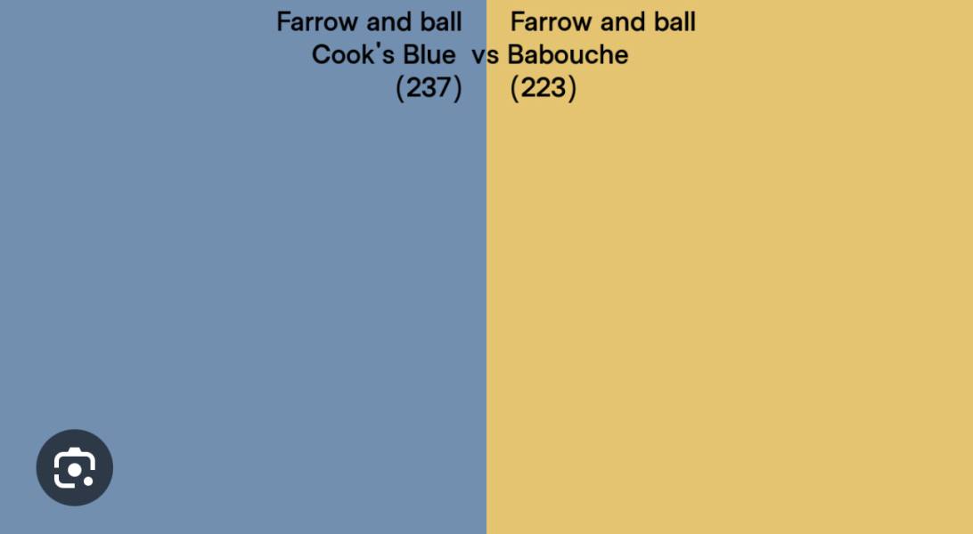 What colour would you use (with F&B Babouche)