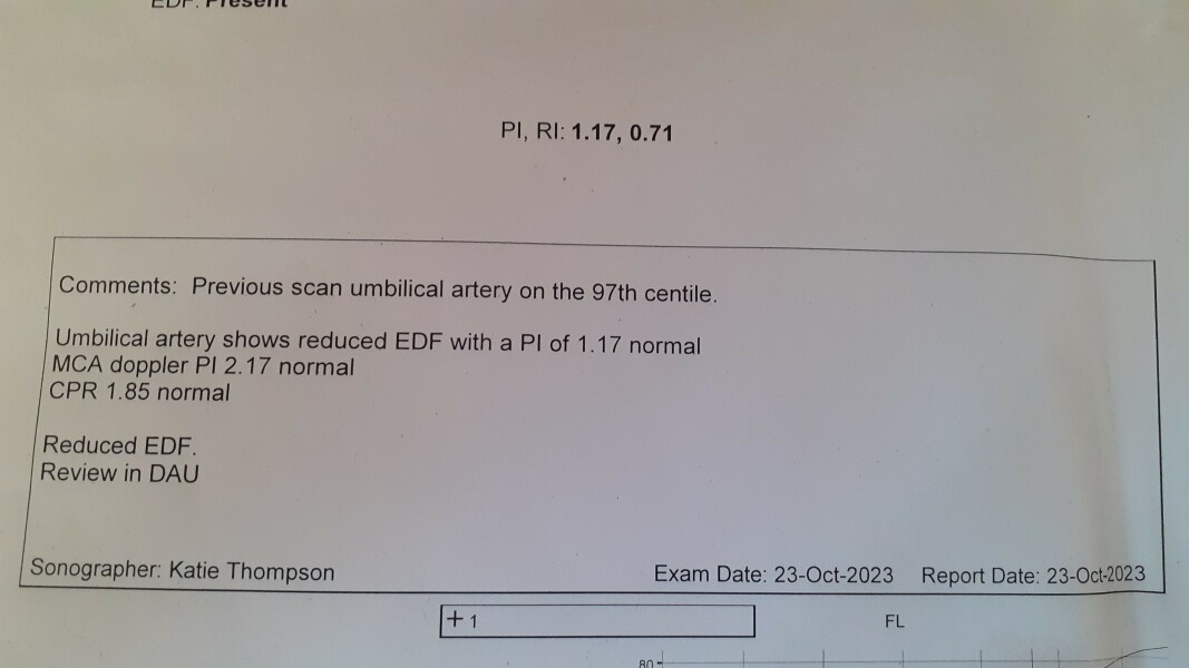 Doppler / Scans - Please Help