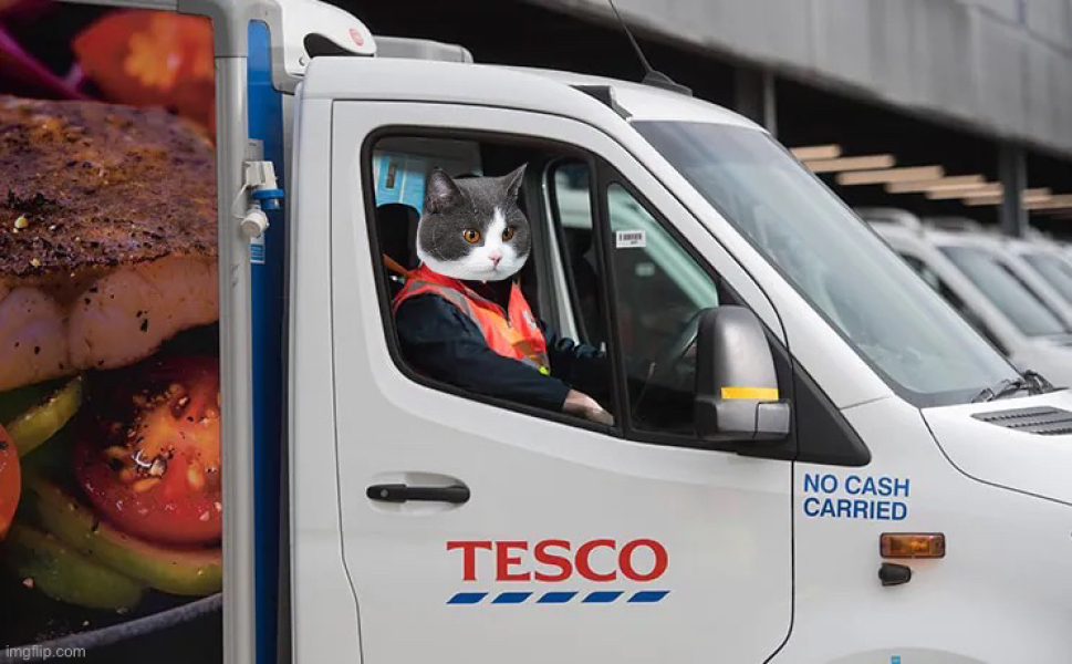 Just had a Tesco delivery, cat got in delivery van where food is stored and walked all over food.
