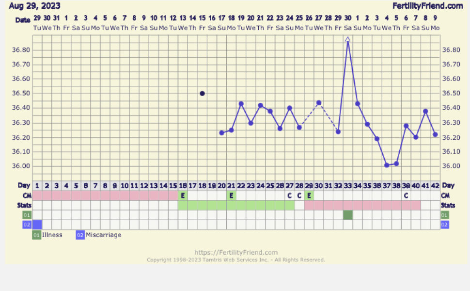 6 weeks after miscarriage - no ovulation