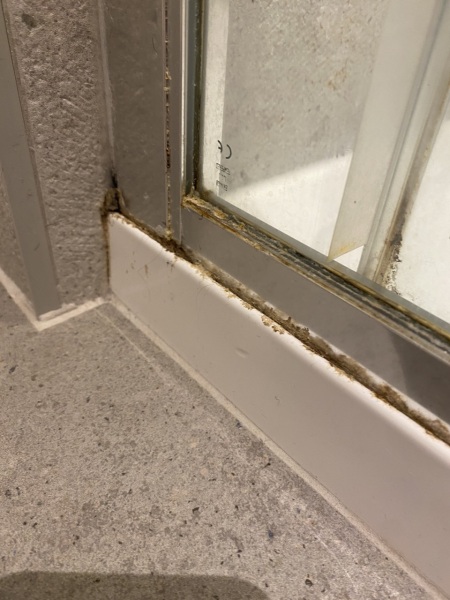 Shower cleaning tips please