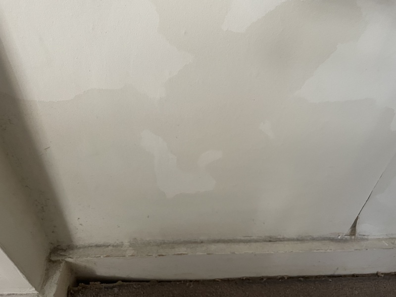 Rising damp & other issues