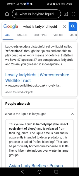 I have a loveliness of ladybirds 🐞 in the corner of my bathroom cabinet and I’m wondering when I might need to issue a dispersion order.