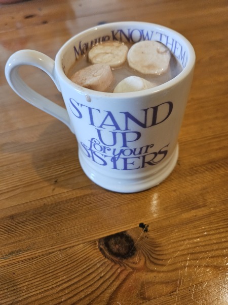 Prof Jo Phoenix vs The OU - Employment Tribunal Thread 7