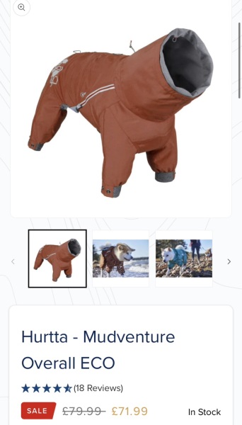 Is it worth investing in a fancy raincoat/overall for our cocker ?
