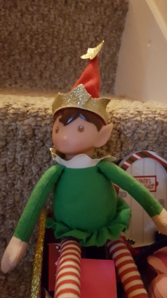 HELP, desperately seeking a new elf
