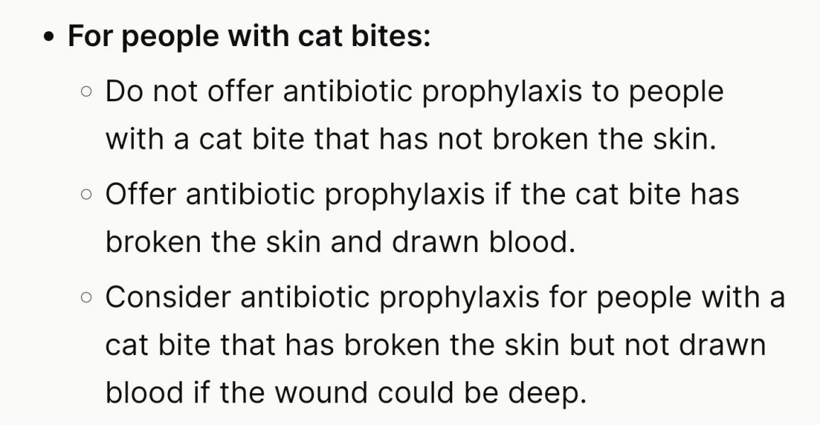 Do I need antibiotics for a cat bite?