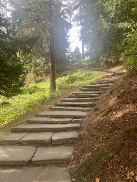 Cancer support thread 90 - still the best threads no one wants to be on