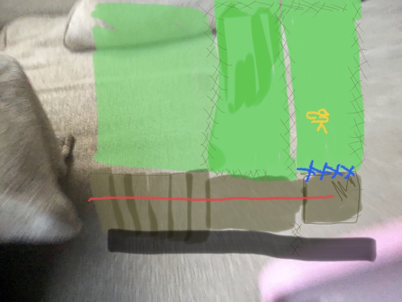 Neighbour’s chickens in our garden