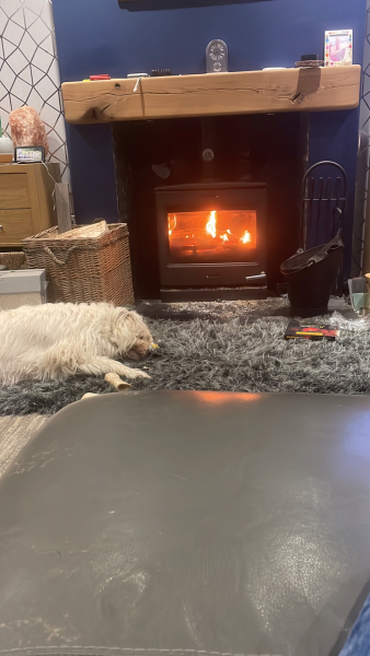 Fireplaces and logburners - have you got yours lighted yet?